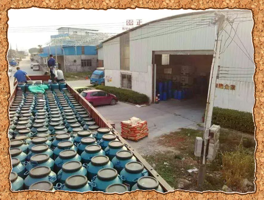 ��ɭ�����I(y��)���w�����L �x�ͳɿ��ل�(chu��ng)�vʷ�¸�