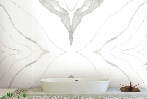 PADARA�ɴu�Ǆ�(chu��ng)��߀�����